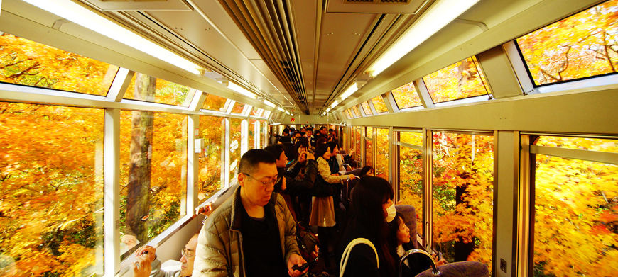 期間限定的賞楓活動 叡山電車楓葉隧道 點燈期間 交通方式和參觀心得 卡瓦納 京都自由滯在